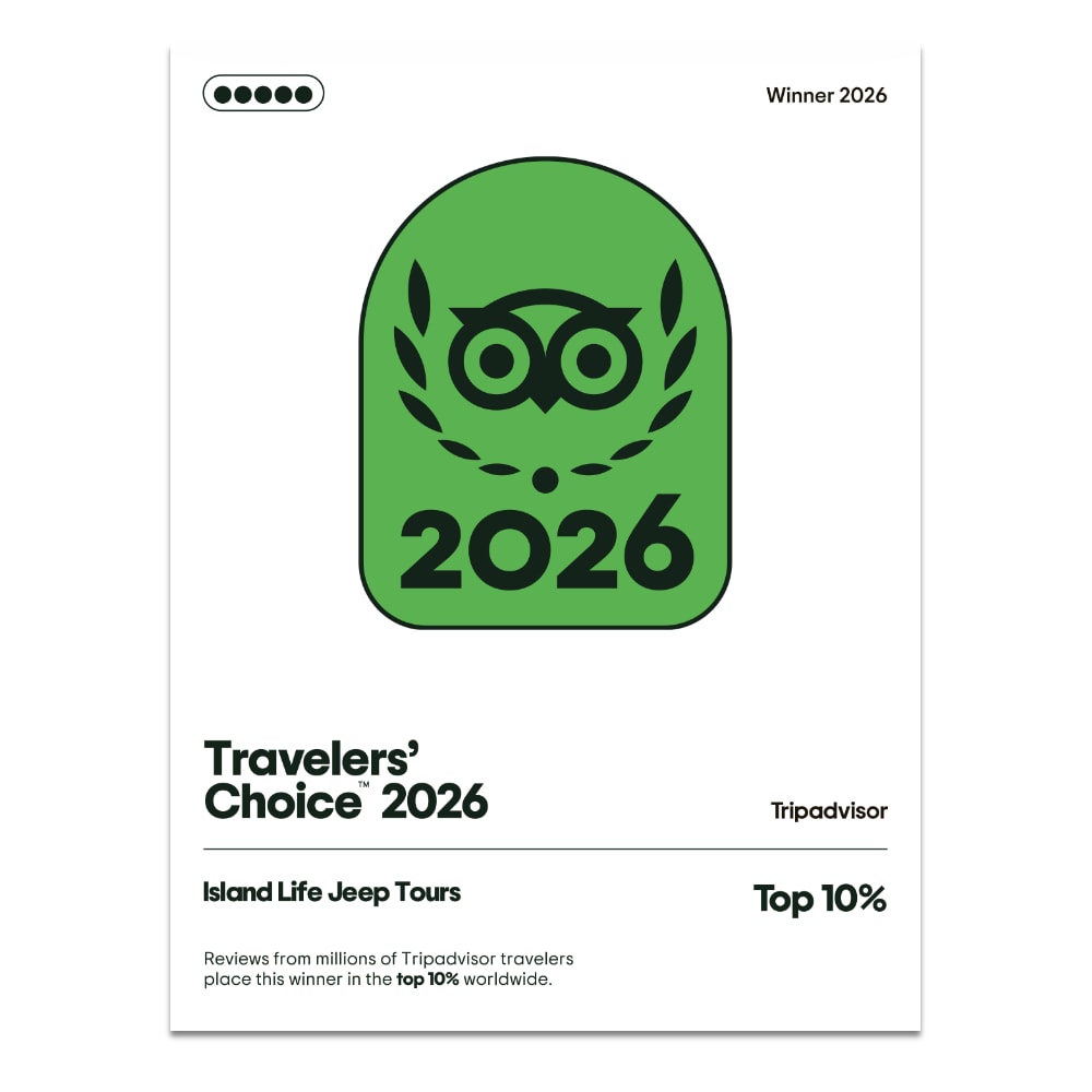 Tripadvisor Travelers' Choice Winner